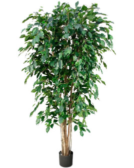 Искусственное растение Ficus Benjamina Exotica / Фикус Бенджамина H180cm