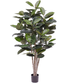 Искусственное растение Ficus Elastica Robusta / Фикус Робуста H170cm
