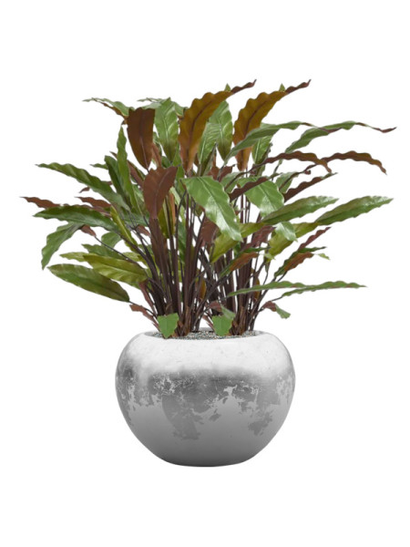 Искусственное растение Calathea Rufibarba Blue Grass / Калатея H60cm NKoop DP