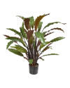 Искусственное растение Calathea Rufibarba Blue Grass / Калатея H60cm NKoop DP