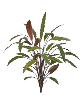 Искусственное растение Calathea Red / Калатея H75cm