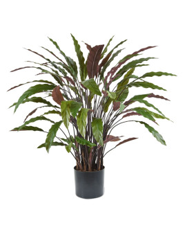 Искусственное растение Calathea Rufibarba Blue Grass / Калатея H85cm