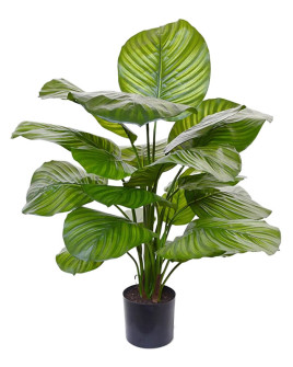 Искусственное растение Calathea Fasciata / Калатея H70cm