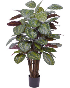 Искусственное растение Calathea Roseopicta / Калатея H120cm