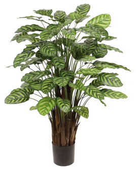 Искусственное растение Calathea Makoyana / Калатея H115cm
