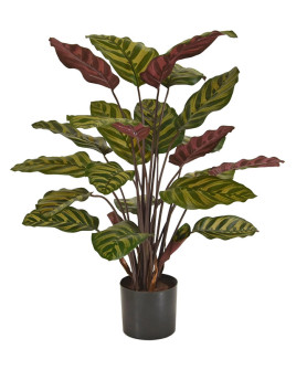 Искусственное растение Calathea Makoyana / Калатея H60cm