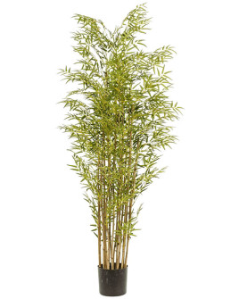 Штучна рослина Bamboo Japanese / Бамбук Японський H180cm