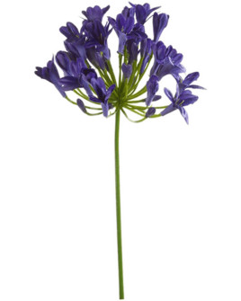 Штучна квітка Agapanthus blue / Агапантус H75cm