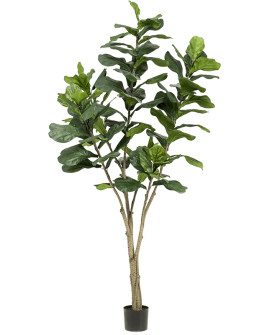 Искусственный Фикус Лирата H210cm