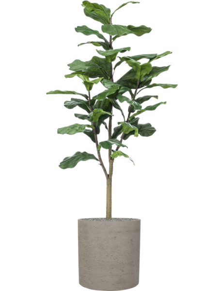 Искусственное растение Фикус Лирата H120cm NKoop EEG