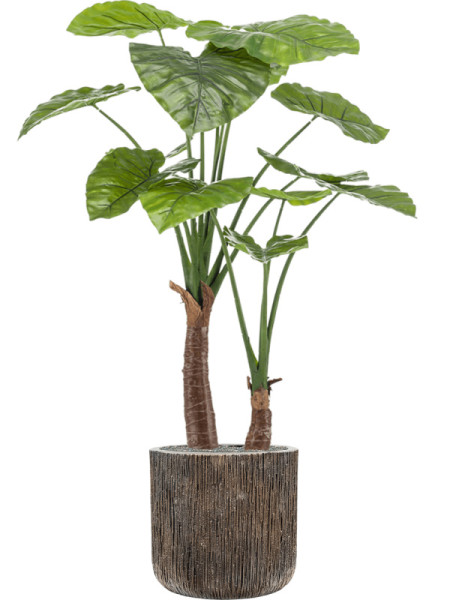 Искусственное растение Alocasia / Алоказия H110cm NKoop EEG