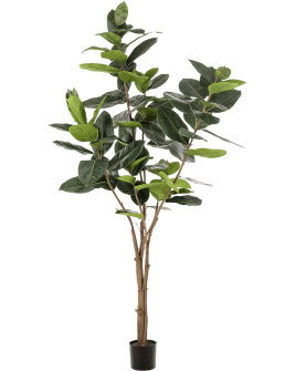 Искусственное растение Ficus Elastica / Фікус Эластика H210cm