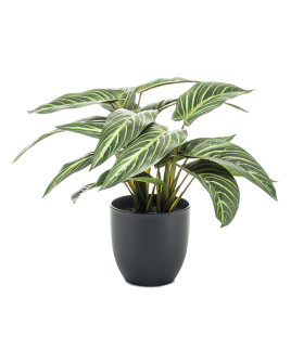 Штучна рослина Calathea Zebrina / Калатея H38cm