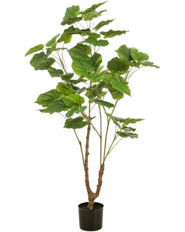 Искусственное растение Ficus Umbellata / Фикус Умбреллата H125cm