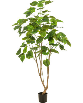 Искусственное растение Ficus Umbellata / Фикус Умбреллата H180cm