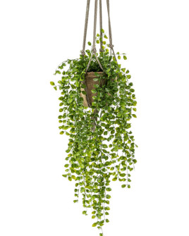 Искусственный Фикус Пумила лиана H120cm