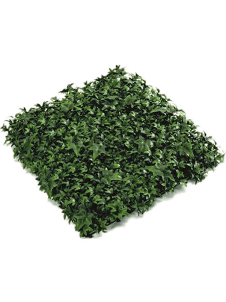 Фитопанель плющ искусственный 50x50cm NKoop EEG