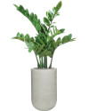 Artificial Plant Zamioculcas H70cm NKoop EEG