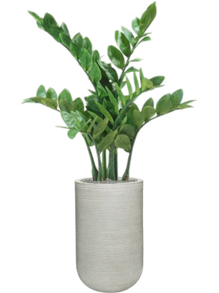 Artificial Plant Zamioculcas H70cm NKoop EEG