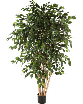 Искусственное растение Ficus Exotica / Фикус Экзотика H240cm
