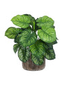 Искусственное растение Calathea / Калатея H45cm NKoop FW