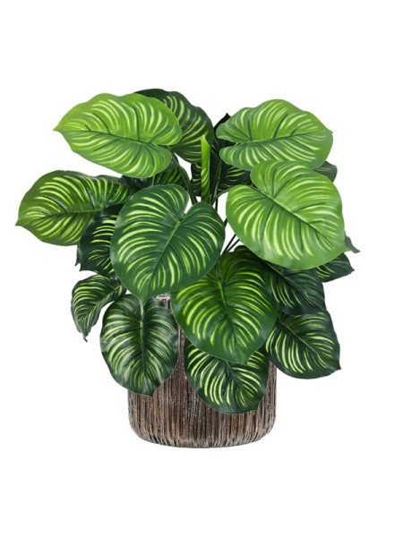 Искусственное растение Calathea / Калатея H45cm NKoop FW
