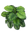Искусственное растение Calathea / Калатея H45cm NKoop FW