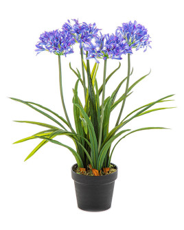 Artificial plant Agapanthus blue H66cm