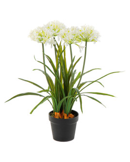 Artificial plant Agapanthus white H66cm
