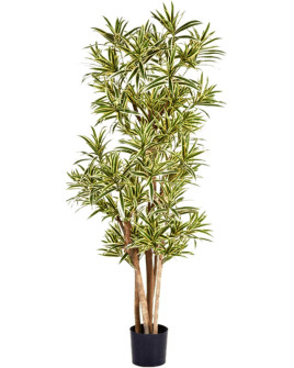 Искусственное растение Dracaena Reflexa / Драцена Рефлекса пёстрая H180cm