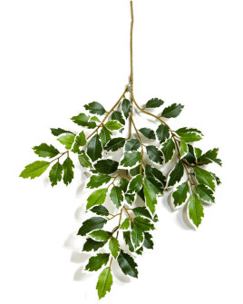 Artificial Plant Ficus Folia variegated Branch H48cm