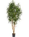 Artificial Plant Dracaena Anita H150cm NKoop FW