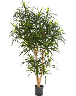 Искусственное растение Dracaena Reflexa Anita / Драцена Анита H120cm