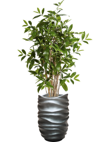 Искусственная Драцена Суркулоза H120cm NKoop FW