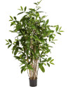Искусственная Драцена Суркулоза H120cm NKoop FW