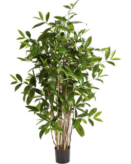 Искусственная Драцена Суркулоза H120cm