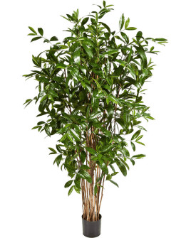 Искусственная Драцена Суркулоза H180cm
