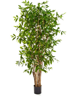 Искусственная Драцена Суркулоза H210cm