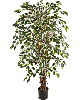 Искусственное растение Ficus Liana / Фикус Лиана пёстрый H150cm