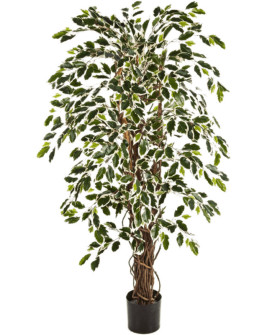Искусственное растение Ficus Liana / Фикус Лиана пёстрый H210cm