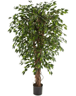 Искусственное растение Ficus Hawaiian Liana / Фикус Гавайский Лиана H90cm