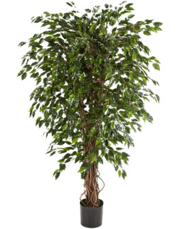 Искусственное растение Ficus Hawaiian Liana / Фикус Гавайский Лиана H120cm