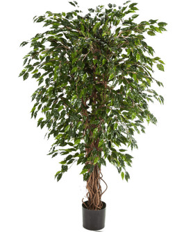 Искусственное растение Ficus Hawaiian Liana / Фикус Гавайский Лиана H150cm