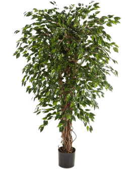 Искусственное растение Ficus Hawaiian Liana / Фикус Гавайский Лиана H180cm
