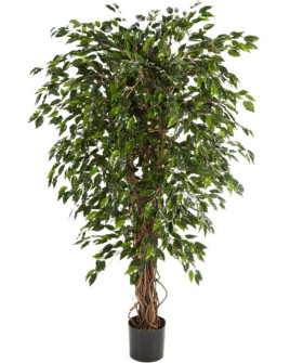 Искусственное растение Ficus Hawaiian Liana / Фикус Гавайский Лиана H210cm