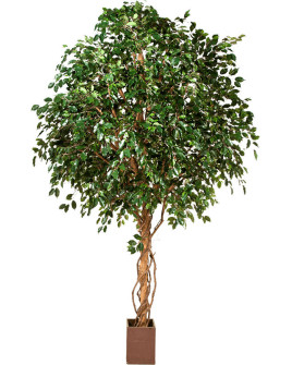 Искусственное растение Giant Ficus Exotica Tree / Фикус Экзотика H360cm
