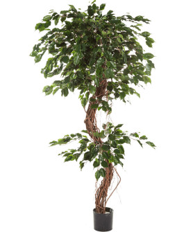 Искусственное растение Ficus Exotica Corkscrew / Фикус Экзотика спираль H180cm