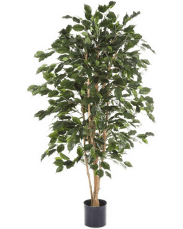 Искусственное растение Ficus Exotica Tree / Фикус Экзотика дерево H180cm