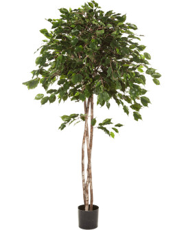 Искусственное растение Ficus Exotica Ball / Фикус Экзотика H150cm
