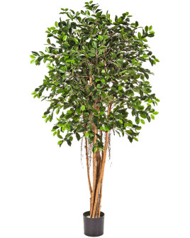 Искусственное растение Ficus Retusa Ball / Фикус Ретуза H150cm